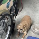 라파엘의료기 이미지