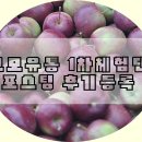 미나유통