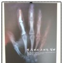 명대농장 이미지