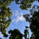 화산목장 이미지