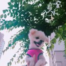 기흥슈퍼 이미지