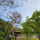당동사거리↔안양CC사거리 | ⛰🚶🏻‍♂️ 한남정맥 - 5구간 (지지대고개~목감사거리~무지내동)