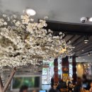 씨유 서면젊음의거리점 | 서면 젊음의 거리 핫이슈! 최홍만도 반한 닭 반 마리 '삼계칼국수' 먹고 2026년 힘차게 시작