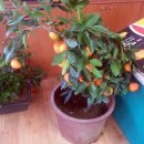 종남농장 이미지