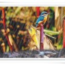 풍경(風景) 이미지