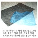 새싹채소 기르기 - 준비물과 방법 소개 이미지