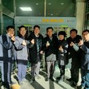 행복나무 이미지