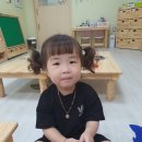 멍멍아 까꿍 이미지