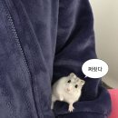 라임안마원 | 삶이란 허무하다 (만찬을 즐기며)