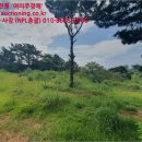 주교2리 마을회관 네이버블로그