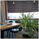 하나 행정사 사무소 이미지