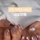 네일반혜