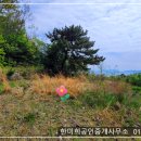 고성부동산중개사무소 Daum카페