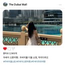 로얄물산 | 두바이 자유여행 : 두바이몰 디올 가방 쇼핑, 하이디라오 첫 후기