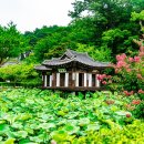 문화정원 아름다운화장실 꿈꾸는섬