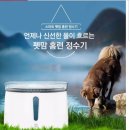 펫맘 이미지