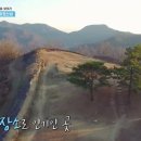 4색여행 이미지