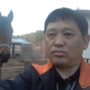 아지터 Daum카페