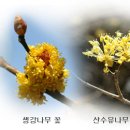 길따라꽃따라