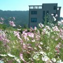 달성요양병원 이미지