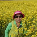 백사장해변 이미지