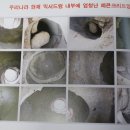 레디젯코리아 이미지