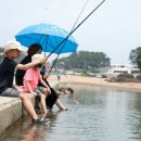 궁평리어촌체험휴양마을 이미지