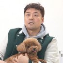 무무유치원 이미지