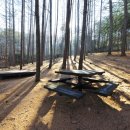 산림욕장 이미지