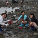 유포체험마을 이미지