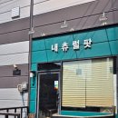 내츄럴팟