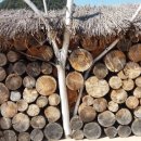 국립백두대간수목원 게스트하우스 이미지