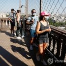 원 탑 태권도 이미지