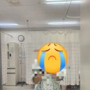 오케이병원 | 교통사고 병원 입원 후기 추천 (오케이 한방병원)