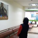 강서구보건소 이미지