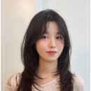 살롱드키코 - 관악구 봉천로 567 | 살롱드키코