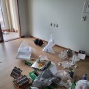 세종시 쓰레기집 청소 후기! (with 새집으로만들어드림)