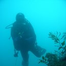 2011년 2월 제주도 스킨 스쿠버 다이빙 사진 - 1 이미지