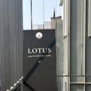 요가3 | 주말에 대전에서 서울로 요가하로 서울 로투스요가 방문 후기