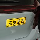 드라이브 | 장롱면허 탈출기🚘ㅣ미소드라이브 내돈내산 후기