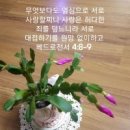 사랑으로 이미지