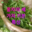 블렌딩 이미지