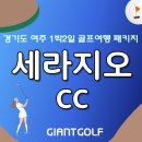 세라지오cc 카카오 골프장 특가 이용 소개해드려요 - 신륵사와 세종대왕릉 여행도 함께 즐기세요