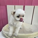 내개로와 이미지