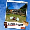 벨스타양수리빵공장 | [진주카페] 실크테라 본점-이탈리아에 온듯한 느낌의 베이커리가 맛있는 카페