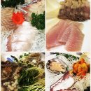 새반도정 이미지