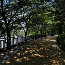 조례호수공원 네이버블로그