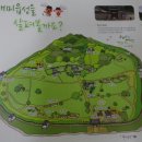 해미-비상-5 이미지