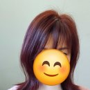 셀르헤어