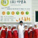 유한회사 야생초 이미지